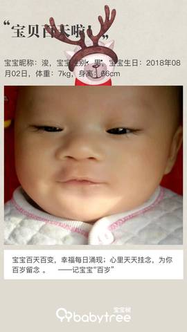 journal_insert_pic_1123617954