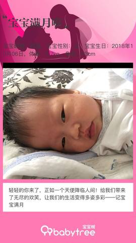 journal_insert_pic_1125667255