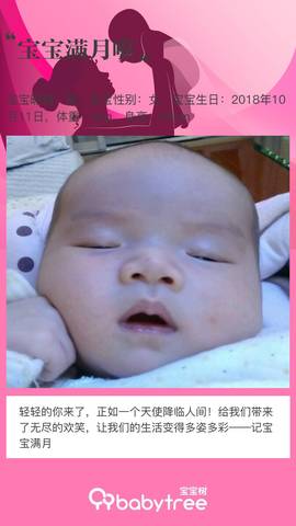 journal_insert_pic_1126117723