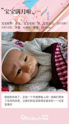 journal_insert_pic_1126129905