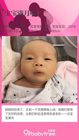 journal_insert_pic_1126643452