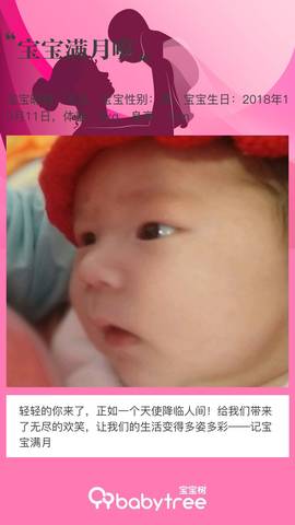 journal_insert_pic_1126854132