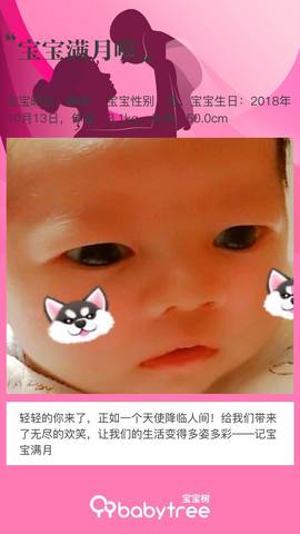 journal_insert_pic_1127329862