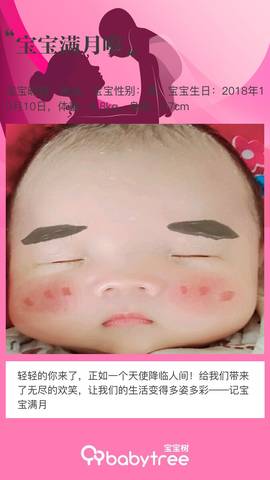 journal_insert_pic_1127551733