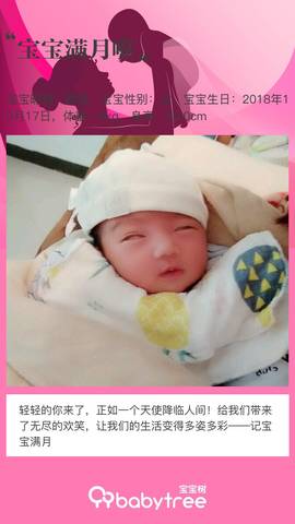 journal_insert_pic_1128666318