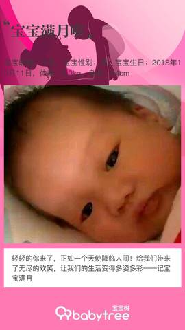 journal_insert_pic_1128737665