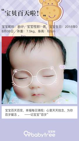 journal_insert_pic_1129579034
