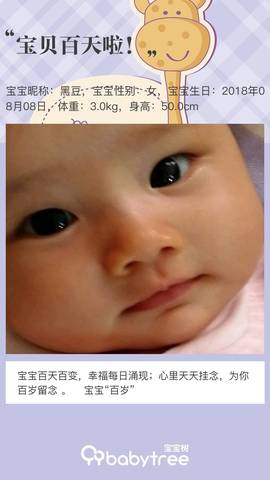 journal_insert_pic_1129874104