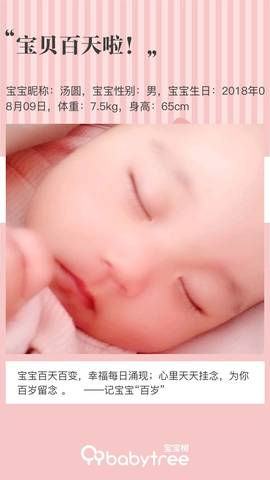 journal_insert_pic_1129818334