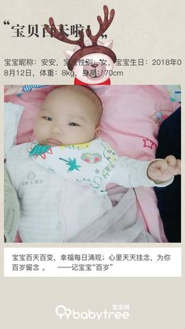 journal_insert_pic_1129484308