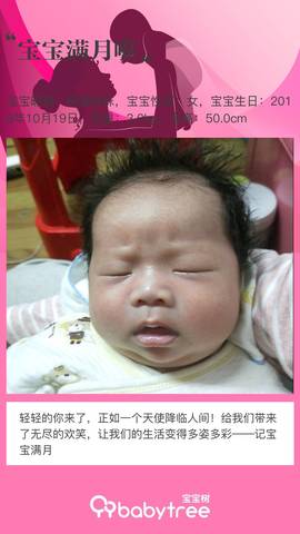 journal_insert_pic_1130279825