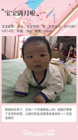 journal_insert_pic_1130096500