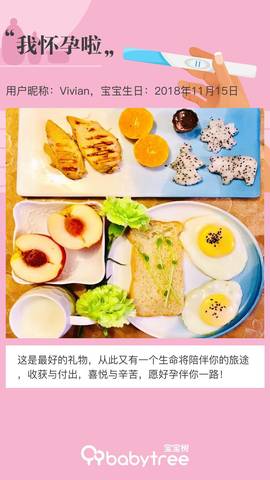 journal_insert_pic_1130359650