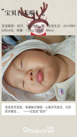 journal_insert_pic_1130865457
