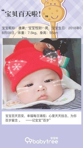 journal_insert_pic_1131465451