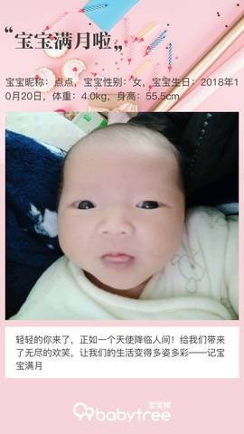 journal_insert_pic_1131373802