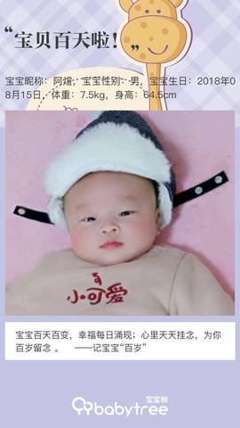 journal_insert_pic_1131509519