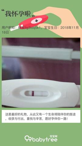 journal_insert_pic_1131894895
