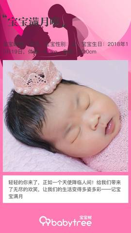 journal_insert_pic_1131841625