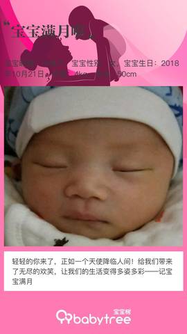 journal_insert_pic_1133444007
