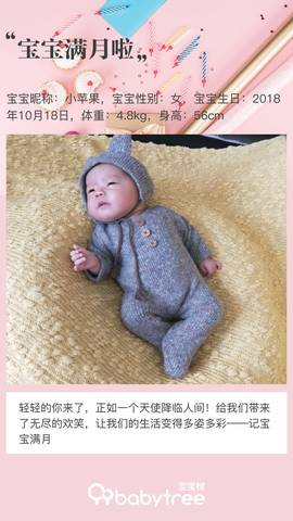 journal_insert_pic_1134146791