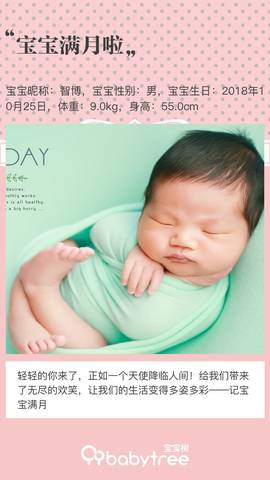 journal_insert_pic_1134436951