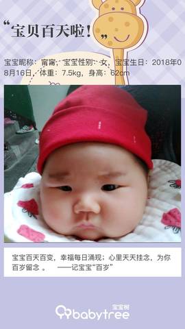 journal_insert_pic_1134967376