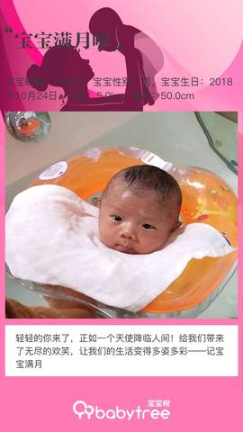 journal_insert_pic_1135843116