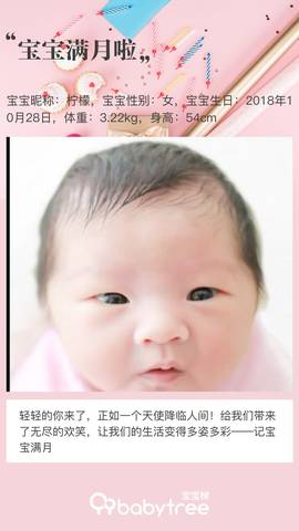 journal_insert_pic_1136281216