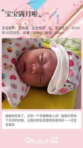 journal_insert_pic_1137261221