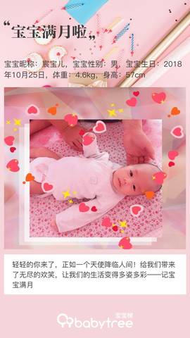 journal_insert_pic_1137707332