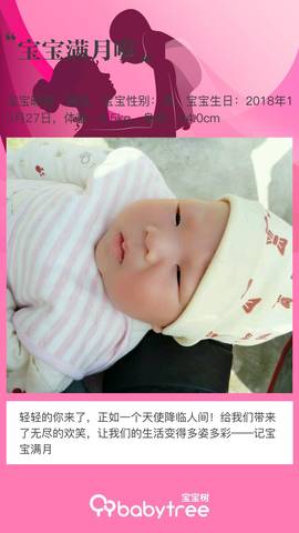 journal_insert_pic_1138438069