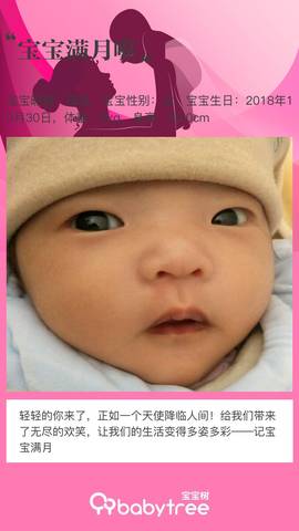 journal_insert_pic_1138808153