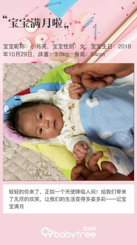 journal_insert_pic_1138661534