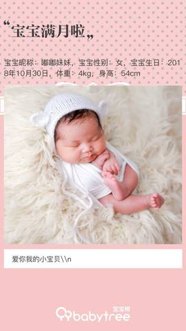 journal_insert_pic_1139715375