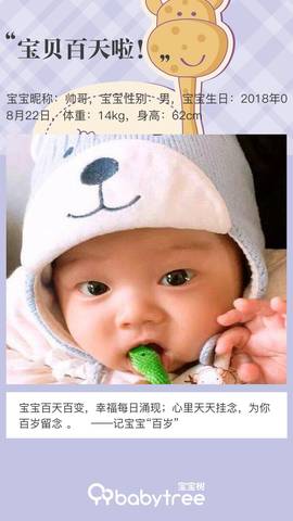 journal_insert_pic_1139472248