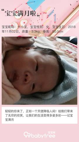journal_insert_pic_1141682632