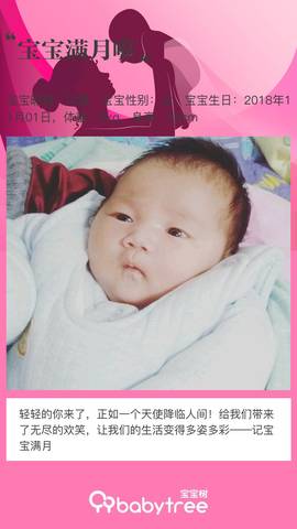 journal_insert_pic_1141171725