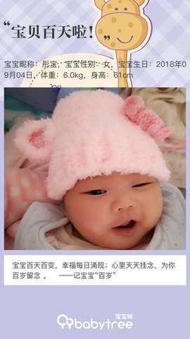 journal_insert_pic_1145881027