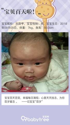 journal_insert_pic_1146133845