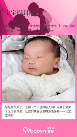 journal_insert_pic_1146180498