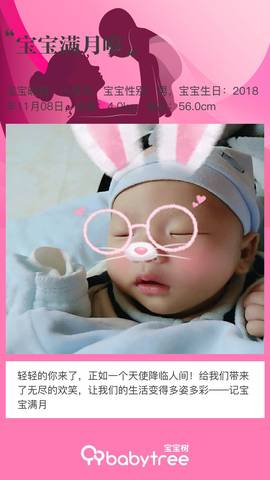 journal_insert_pic_1147183040