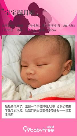 journal_insert_pic_1147073970