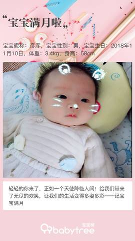 journal_insert_pic_1147477268