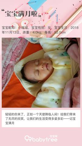 journal_insert_pic_1147555214