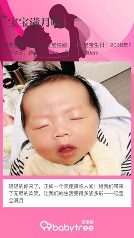 journal_insert_pic_1147502492