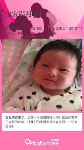 journal_insert_pic_1147982668