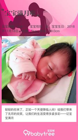 journal_insert_pic_1148521023