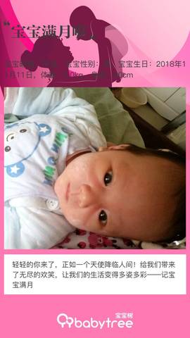 journal_insert_pic_1148521201