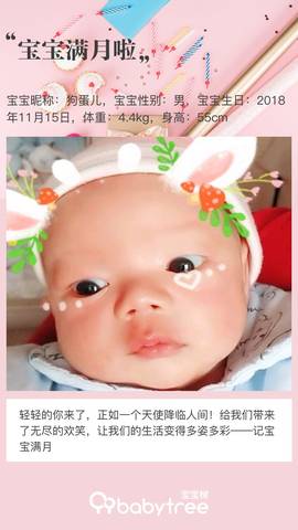journal_insert_pic_1150148728